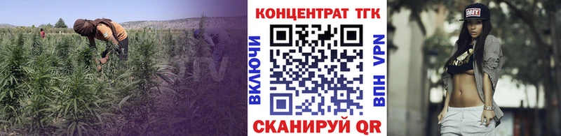 ТГК THC oil  Купить  Куса 